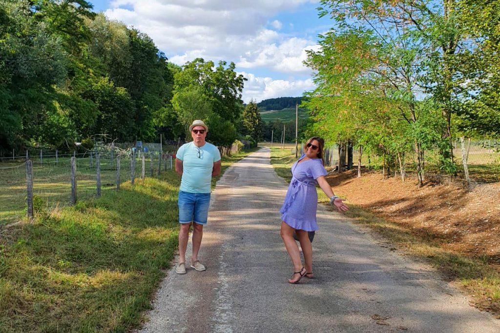 Wandelen in Chablis