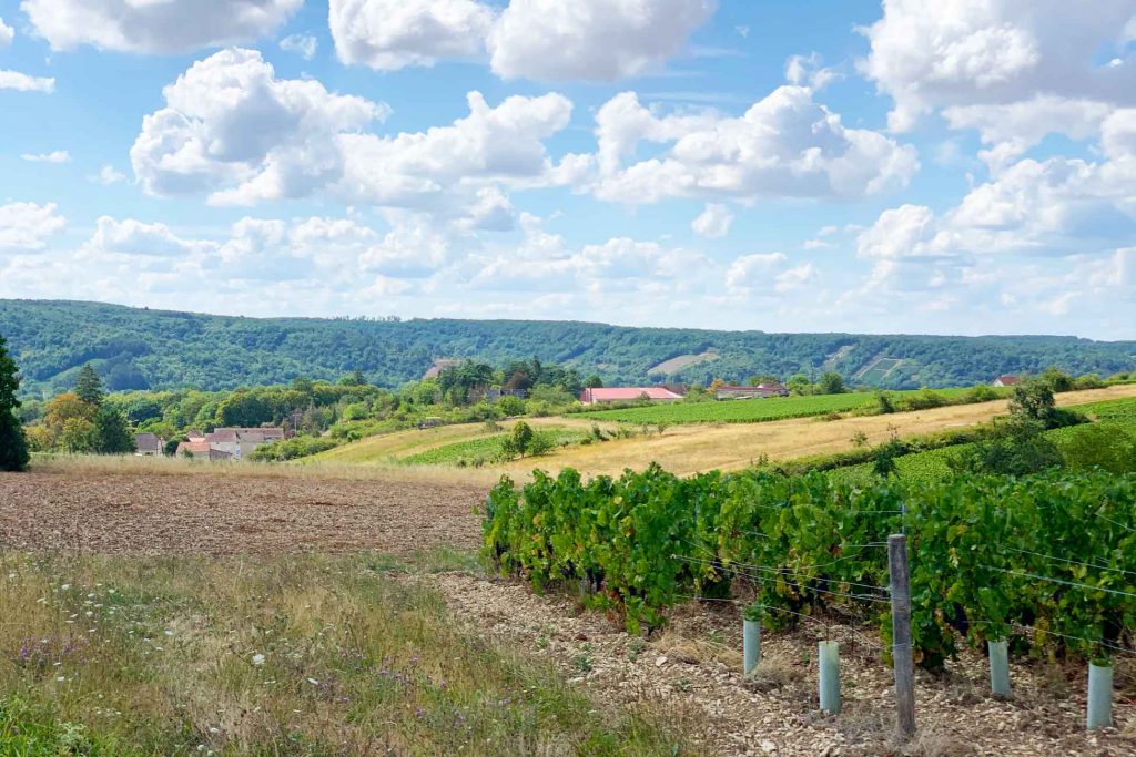 Uitzicht omgeving Chablis